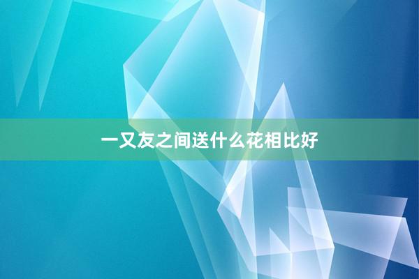 一又友之间送什么花相比好